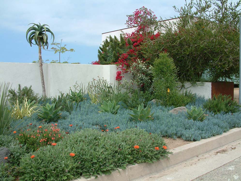 Seabluffs Garden 2