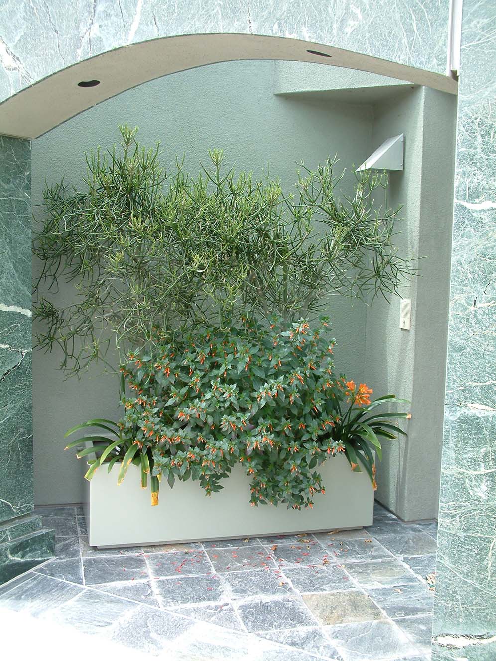 Seabluffs Garden 4