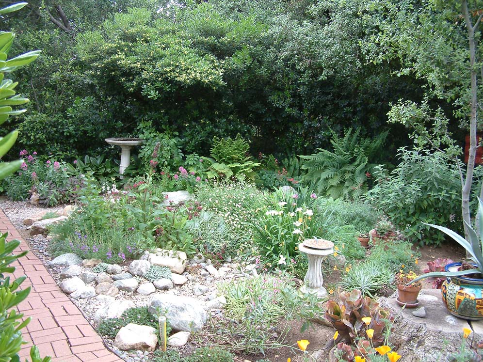 Sycamore Shade Garden 3