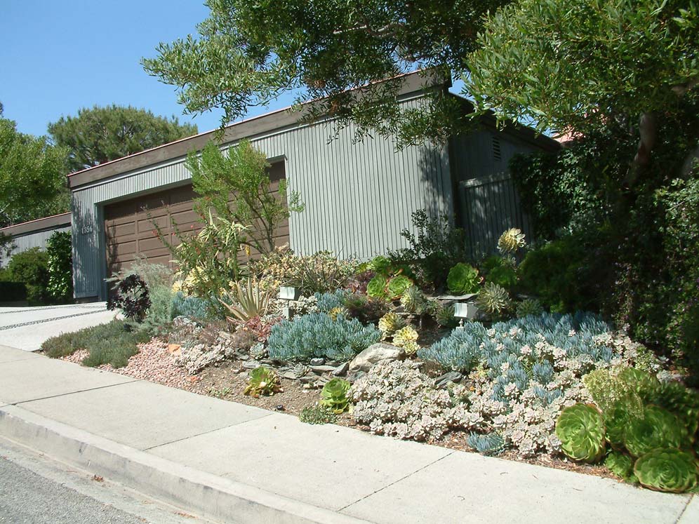 Brentwood Beauty 1