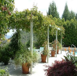 Arbors