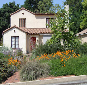 Gold Native Garden