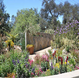 Descanso Garden