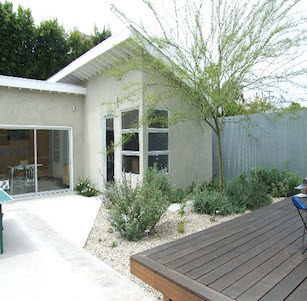 Moderan Home Ancient Plants