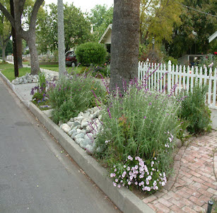 Parking Strips