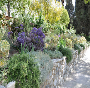 Raised Planters