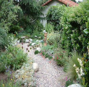 Sycamore Shade Garden